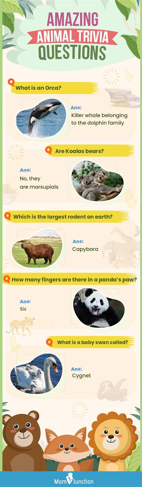 150 Interesting Animal Trivia Questions For Kids With Answers