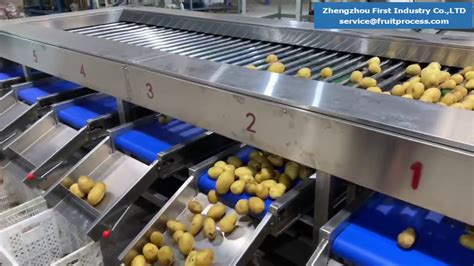 Potato Washing Sorting Line Youtube