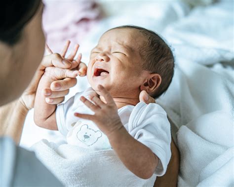 ¿por Qué Lloran Tanto Los Recién Nacidos · Moltex Baby