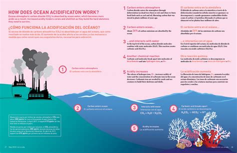 Ocean Acidification And Reefs Smithsonian Tropical Research Institute