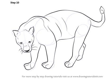 Learn How to Draw a Black Panther (Wild Animals) Step by Step : Drawing