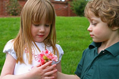 A Boy Giving Flowers Stock Photo Image Of Enjoy Male 4962932