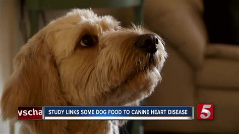 We did not find results for: FDA study links certain dog foods to possible canine heart ...