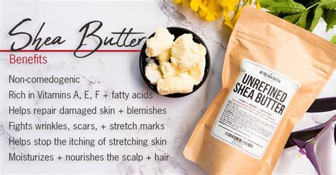 The Ultimate Guide To Shea Butter Shea Butter Benefits