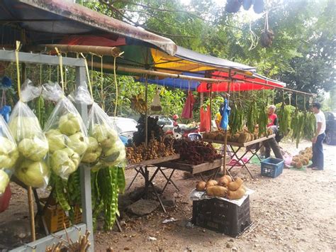 Tersedia durian berkualitas dari petani, distributor, supplier durian seluruh indonesia. Tertunailah Hasrat Di Hati: Musim Petai Dan Durian Di ...