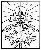 Coloring Easter Lilies Crayola sketch template