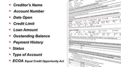 How To Read Ccris Report