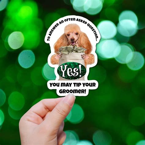 How Much Do You Tip Your Dog Groomer