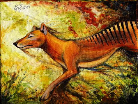 Thylacine Road To Extinction By Culpeo Fox On Deviantart