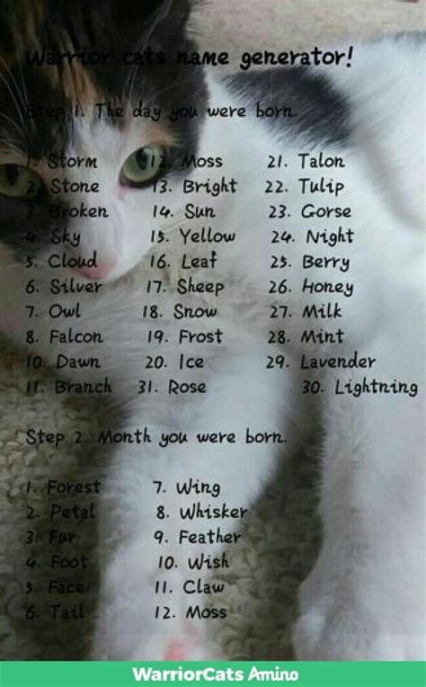 If you like warrior cat names, you might love these ideas. I got Brightpetal⇡I got Falconwing | Warrior cat names ...