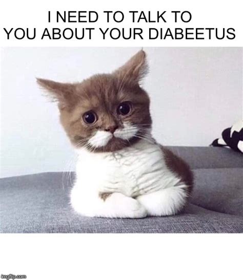 Diabeetus Cat Meme