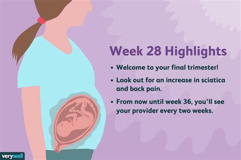 28 Weeks Pregnant Symptoms Baby Development And More