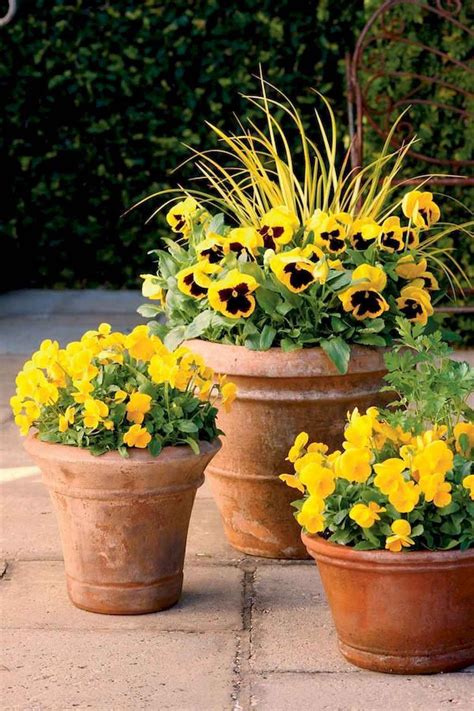Whether it's a vibrant, intense and bright colorful look you want or a more curated color theme that you are going for with. 75 Beautiful Summer Container Garden Flowers Ideas ...