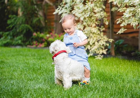 Pequeña Niña Pequeña Jugando Y Tosiendo Con Cachorro Perro En La Hierba Verde Del Césped Trasero