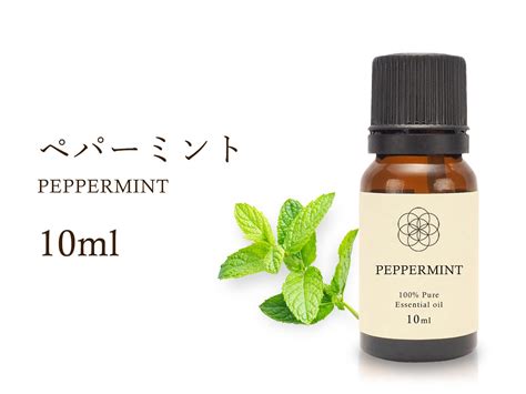 ペパーミントエッセンシャルオイル グラウンディング・リセット Peppermint 100％natural ペパーミント精油 学名