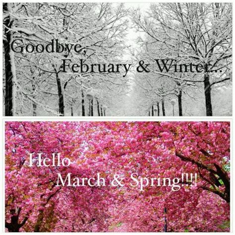 Goodbye February And Winter Hello March And Spring Spring March Hello