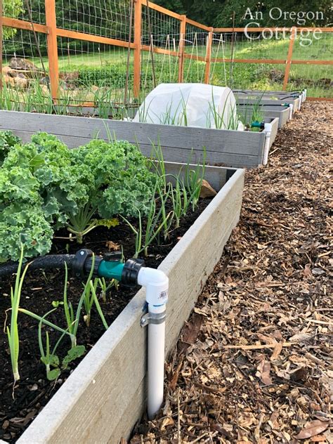 Diy Pvc Garden Watering System How To Install An Irrigation System In