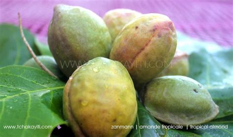 nigerian fruit called fruit adamara s blog