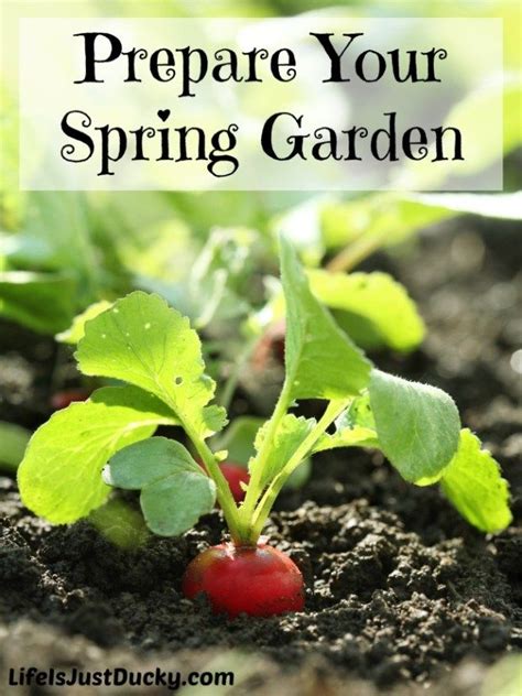 How To Prepare Your Garden For Spring Planting Spring Gardening Prep