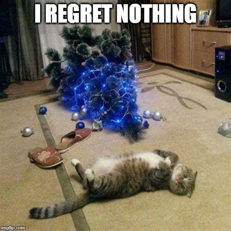 Christmas Tree Cat Imgflip