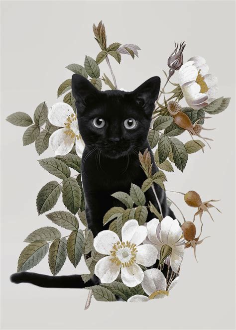 Cat With Flowers Metal Poster Print Dada 22 Displate Black Cat