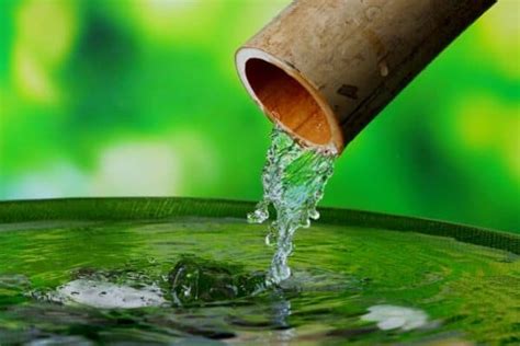 10 Best Bamboo Water Fountains Water Garden Advice