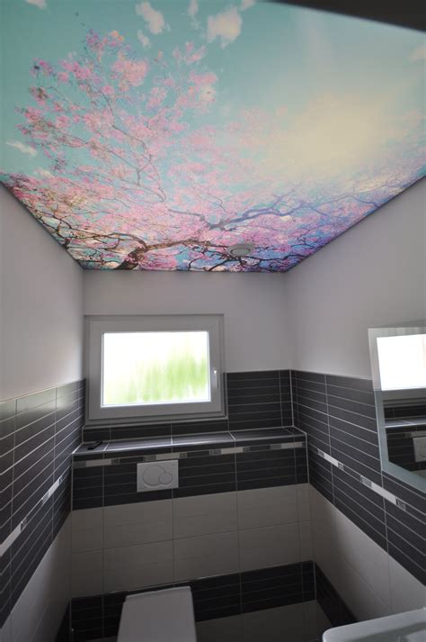 Decke abhangen rigips luxus 54. bedruckte Spanndecke im WC #bad#toilette#spanndecke#wc# ...