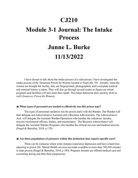 Cj 210 Module Three Journal Cj Module 3 1 Journal The Intake Process