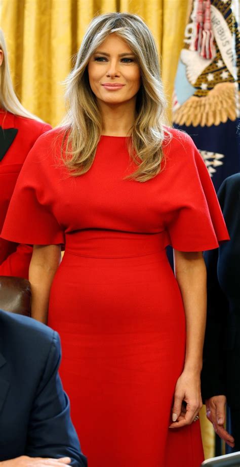 White House Unveils Melania Trumps First Official Portrait