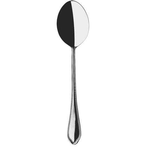 Hisar Serving Spoon 11 Inch In Mirror Polish Finish Set Of 1 Pcs The Dining Style