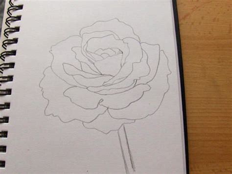 Du solltest mehrere horizontale linien mit unterschiedlichen abständen zeichnen, ebenso tatsächlich könntest du einzigartige kreationen erschaffen, wenn du auf dem boden beginnst und dein bild anschießend aufrecht hinstellst, während. So zeichne ich eine Rose - Monika Kunze | Blumen zeichnen, Blumen zeichnung und Zeichnen