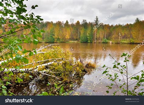 Autumn Lake In Gloomy Cold Weather Stock Photo 50376244 Shutterstock