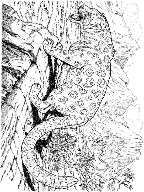 Leopard Coloring Pages Download And Print Leopard Coloring Pages