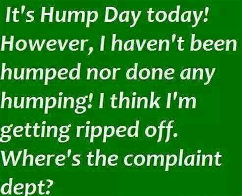 Funny Hump Day Quotes Images Shortquotes Cc