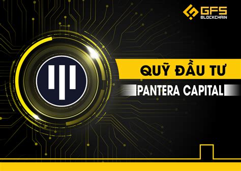 Pantera Capital Là Gì Tìm Hiểu Về Portfolio Của Quỹ đầu Tư Pantera