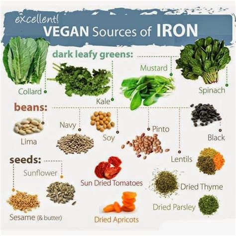Plant sources are better regulated and therefore less potential harm to the body can be caused. Iron in the Vegan Diet | Welcomenri