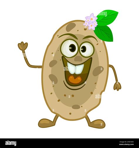Smiling Funny Potato Isolated On White Background Cute Happy Character Vegetable Smile Potato