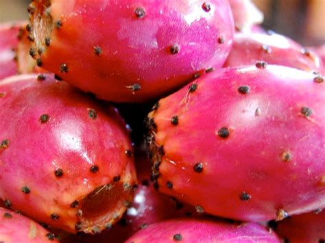 Prickly Pears Nutrition Information Eat This Much