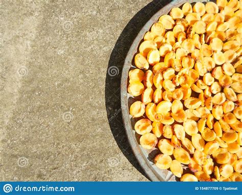 Apricots In Half In The Sun For Dried Apricots A Lot Of Dried Apricots