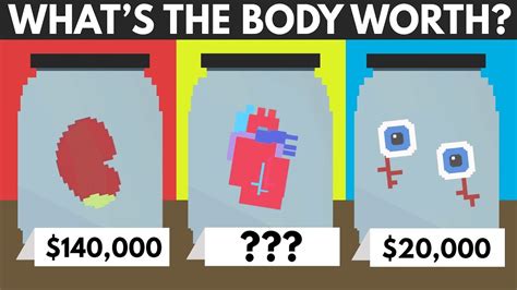 However, the price of pi might raise to $5 and higher if the network will be properly. How Much Is The Human Body Worth? - YouTube