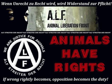 Animal Liberation Wake Up Call Alf Animal Cruelty Activist Animals