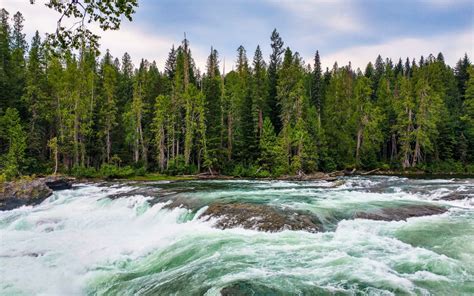 Green Mountain River Forest Pine Tree Nature Landscape Hd Wallpapers