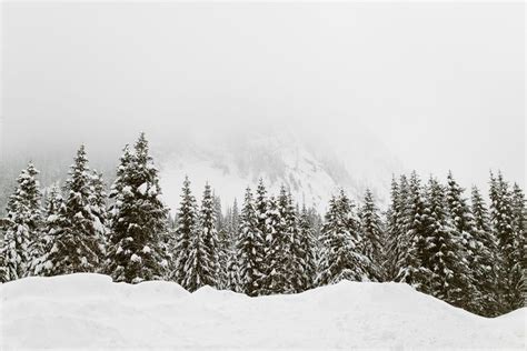 20 Breathtaking Pictures Of Winter Landscapes Winter Wonderland