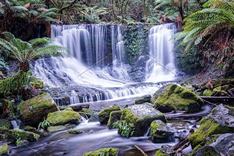 Waterfall In Tropical Rainforest New Zealand High Quality Nature