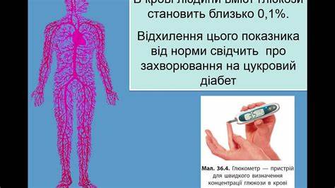 Глюкоза 6 3 диета ВУ глюкоза - YouTube ВУ глюкоза - YouTube Глюкоза 6 3 диета