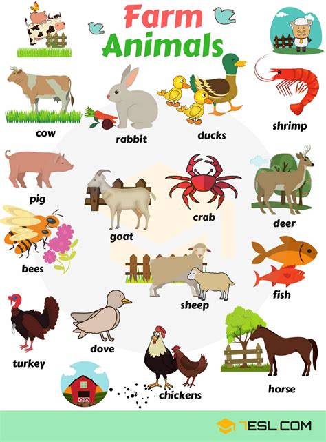 Domestic Animals Names Farm Animals List Of Domesticated Animals 7esl
