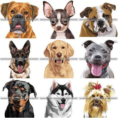 Dogs Head Color Clipart Svg
