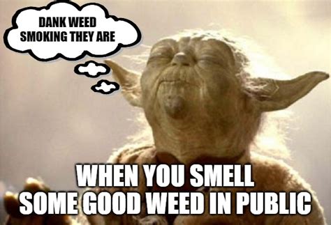 Yoda Smell Imgflip