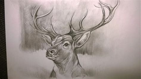 Deer Drawing 3 By Lineke Lijn On Deviantart
