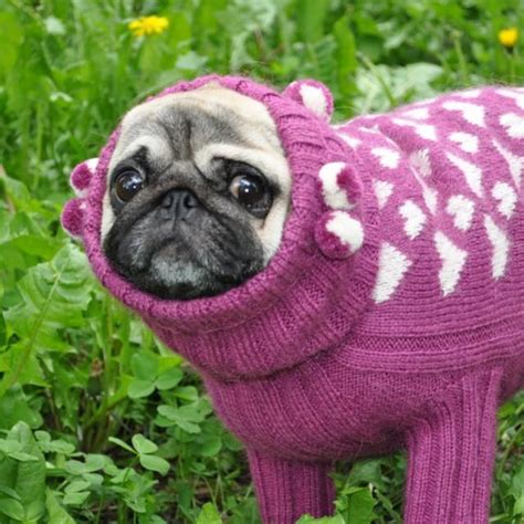 Dog Sweater Knit Dog Sweater Sweater For Pug Clothing For Dog Pug Coat